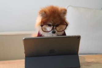 阿里云源代码如何搭建网站（阿里云的yum源）