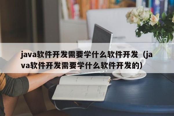 java软件开发需要学什么软件开发（java软件开发需要学什么软件开发的）