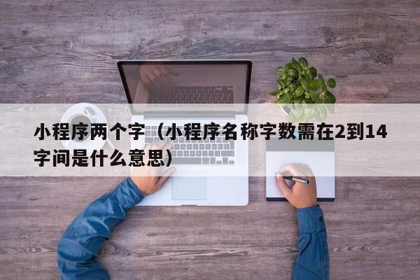 小程序两个字（小程序名称字数需在2到14字间是什么意思）
