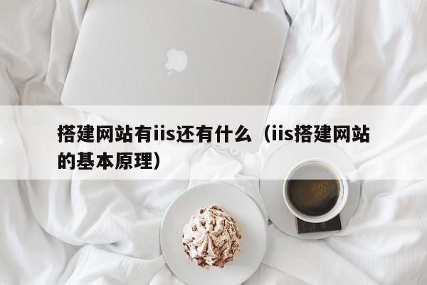 搭建网站有iis还有什么（iis搭建网站的基本原理）