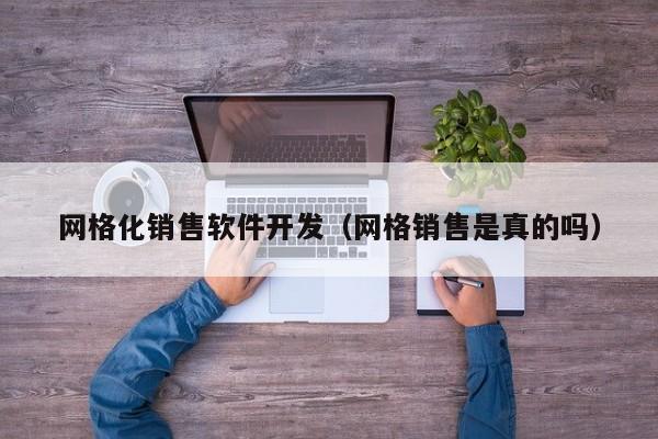 网格化销售软件开发（网格销售是真的吗）