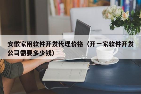 安徽家用软件开发代理价格（开一家软件开发公司需要多少钱）