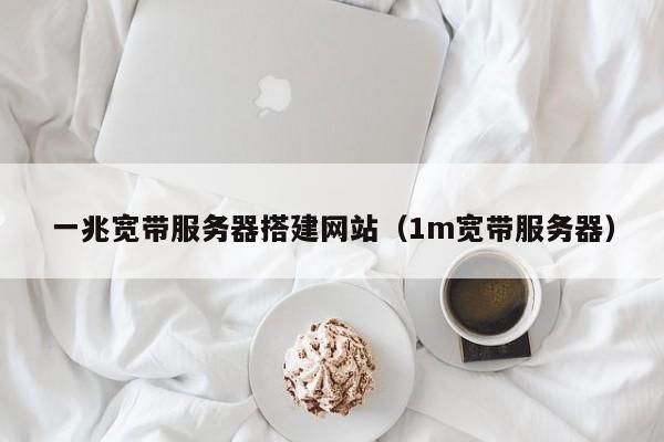 一兆宽带服务器搭建网站（1m宽带服务器）