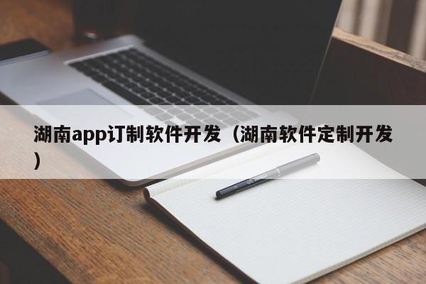 湖南app订制软件开发（湖南软件定制开发）