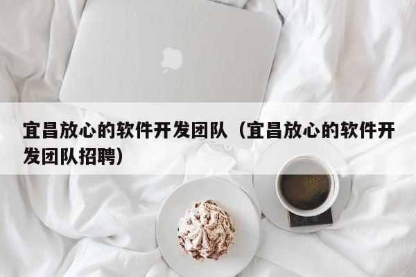 宜昌放心的软件开发团队（宜昌放心的软件开发团队招聘）