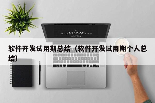 软件开发试用期总结（软件开发试用期个人总结）