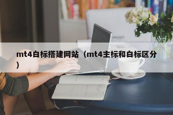 mt4白标搭建网站（mt4主标和白标区分）