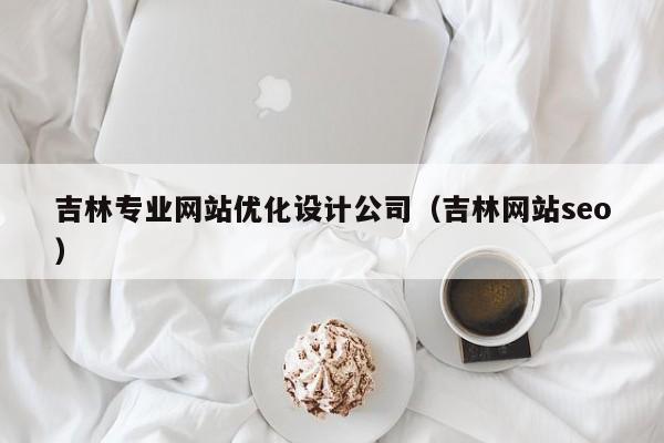吉林专业网站优化设计公司(吉林网站seo)