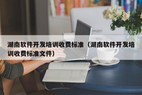 湖南软件开发培训收费标准（湖南软件开发培训收费标准文件）