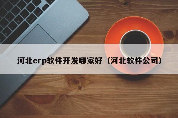 河北erp软件开发哪家好（河北软件公司）