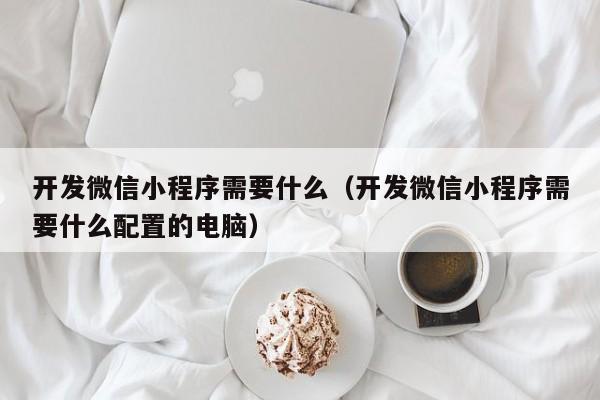 开发微信小程序需要什么（开发微信小程序需要什么配置的电脑）