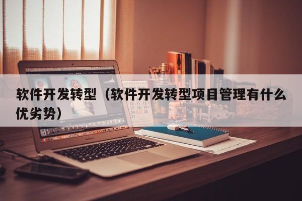 软件开发转型（软件开发转型项目管理有什么优劣势）