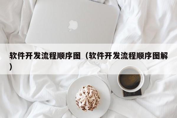 软件开发流程顺序图（软件开发流程顺序图解）