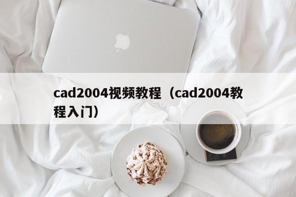 cad2004视频教程（cad2004教程入门）