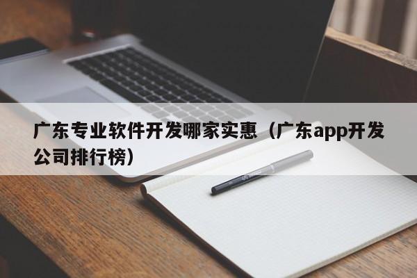 广东专业软件开发哪家实惠（广东app开发公司排行榜）