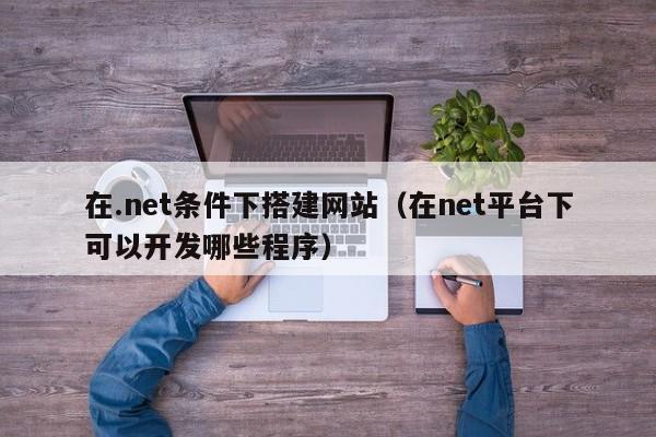 在.net条件下搭建网站(在net平台下可以开发哪些程序)