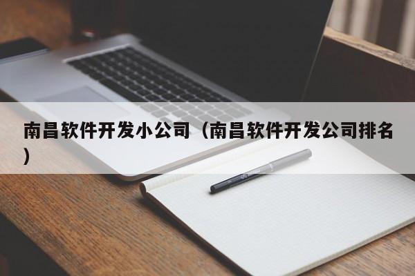 南昌软件开发小公司（南昌软件开发公司排名）