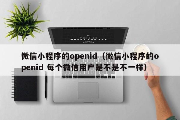 微信小程序的openid（微信小程序的openid 每个微信用户是不是不一样）