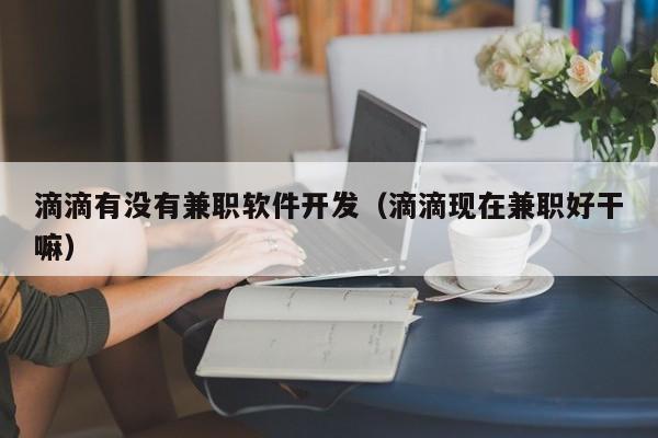 滴滴有没有兼职软件开发（滴滴现在兼职好干嘛）
