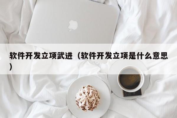软件开发立项武进（软件开发立项是什么意思）