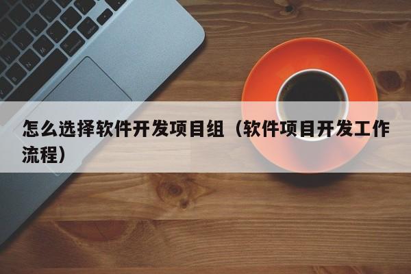 怎么选择软件开发项目组（软件项目开发工作流程）