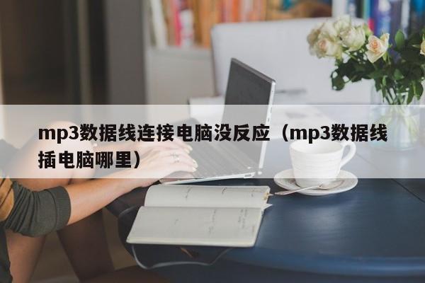 mp3数据线连接电脑没反应(mp3数据线插电脑哪里)