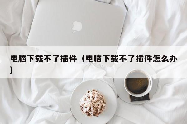 电脑下载不了插件(电脑下载不了插件怎么办)