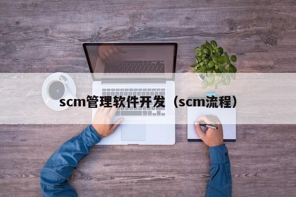 scm管理软件开发（scm流程）