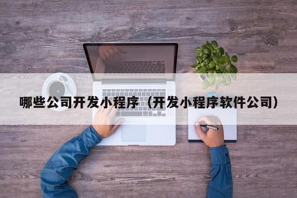 哪些公司开发小程序（开发小程序软件公司）
