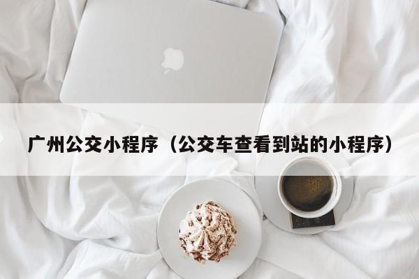 广州公交小程序(公交车查看到站的小程序)