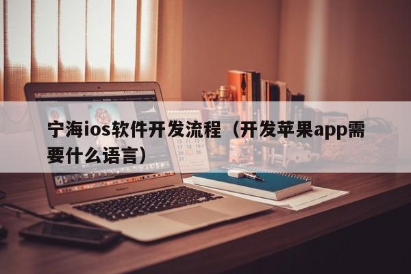 宁海ios软件开发流程（开发苹果app需要什么语言）