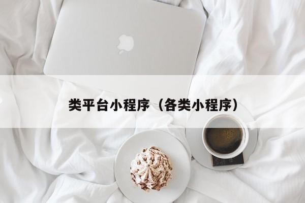 类平台小程序（各类小程序）