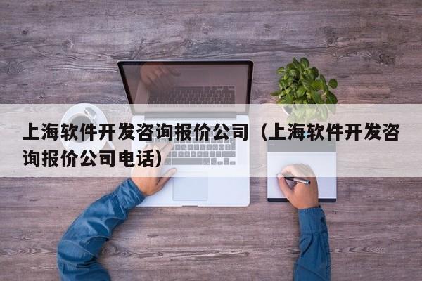 上海软件开发咨询报价公司(上海软件开发咨询报价公司电话)