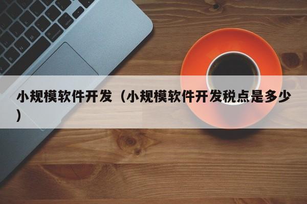 小规模软件开发（小规模软件开发税点是多少）
