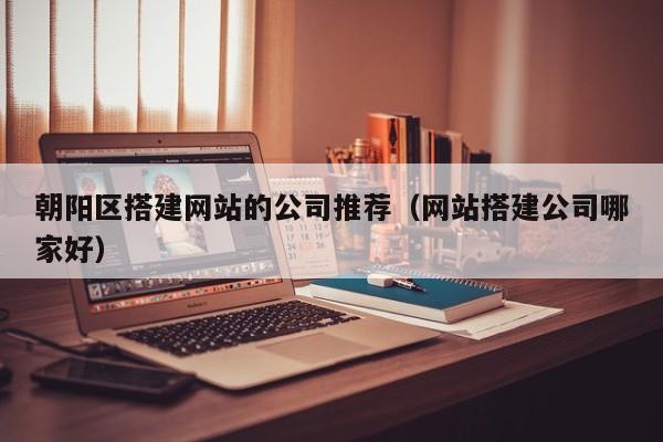 朝阳区搭建网站的公司推荐（网站搭建公司哪家好）