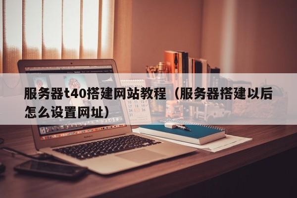 服务器t40搭建网站教程(服务器搭建以后怎么设置网址)