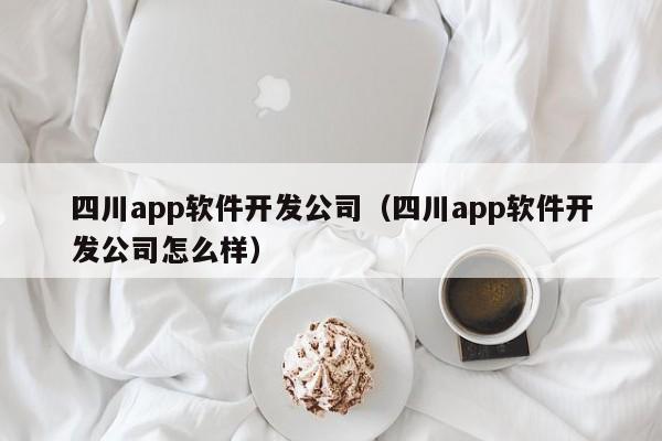 四川app软件开发公司(四川app软件开发公司怎么样)