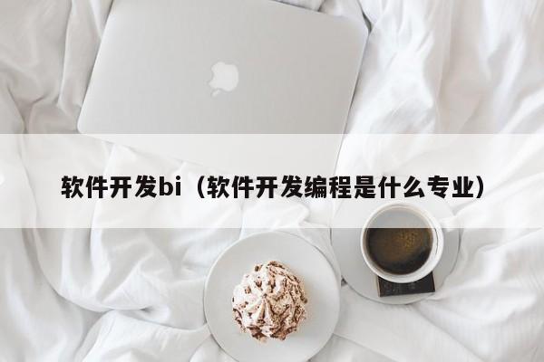 软件开发bi（软件开发编程是什么专业）