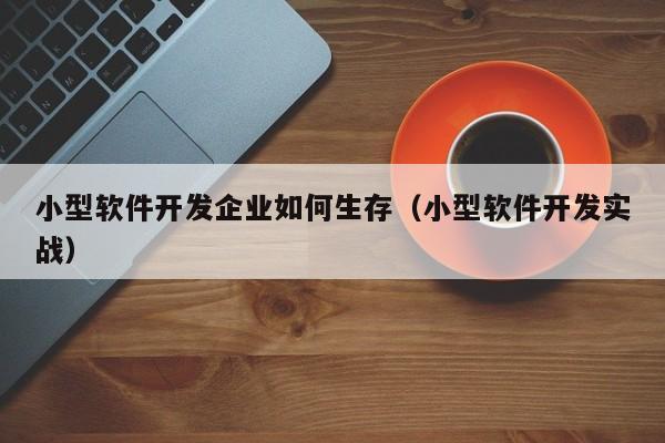 小型软件开发企业如何生存（小型软件开发实战）