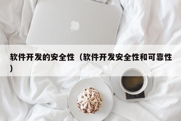 软件开发的安全性（软件开发安全性和可靠性）