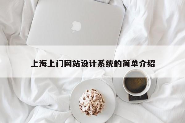 上海上门网站设计系统的简单介绍