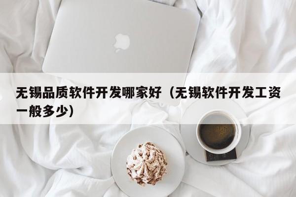 无锡品质软件开发哪家好（无锡软件开发工资一般多少）