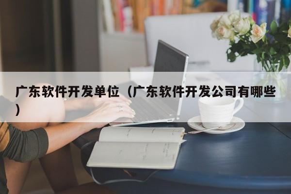 广东软件开发单位（广东软件开发公司有哪些）