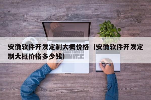 安徽软件开发定制大概价格（安徽软件开发定制大概价格多少钱）