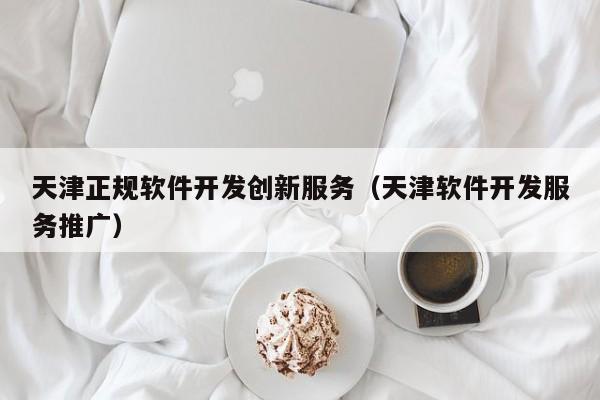 天津正规软件开发创新服务（天津软件开发服务推广）