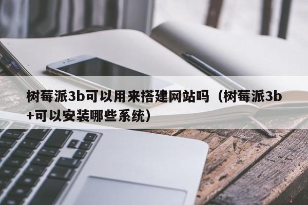 树莓派3b可以用来搭建网站吗(树莓派3b+可以安装哪些系统)