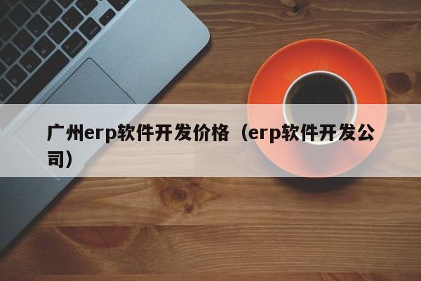 广州erp软件开发价格（erp软件开发公司）