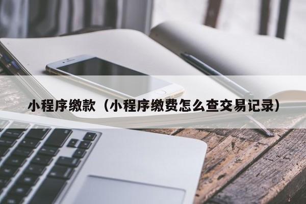 小程序缴款(小程序缴费怎么查交易记录)