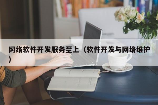 网络软件开发服务至上（软件开发与网络维护）