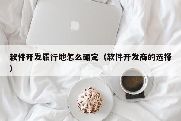 软件开发履行地怎么确定（软件开发商的选择）